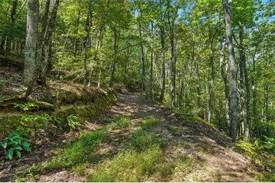 0 Debord Drive, Waleska, GA 30183 - Photo 35