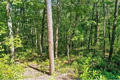 0 Debord Drive, Waleska, GA 30183 - Photo 11