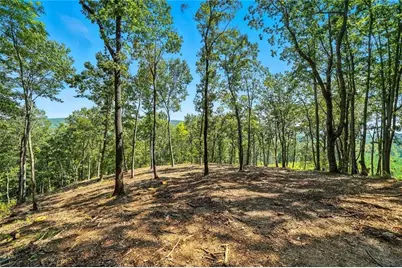 0 Debord Drive, Waleska, GA 30183 - Photo 25