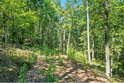 0 Debord Drive, Waleska, GA 30183 - Photo 7