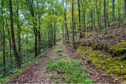 0 Debord Drive, Waleska, GA 30183 - Photo 33