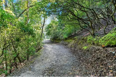 0 Debord Drive, Waleska, GA 30183 - Photo 29