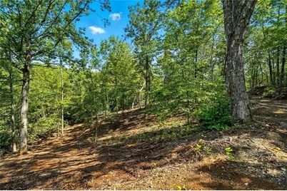 0 Debord Drive, Waleska, GA 30183 - Photo 31