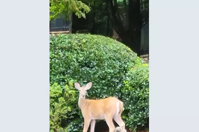 7270 Flowery Branch Road, Cumming, GA 30041 - Photo 45