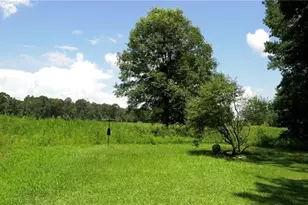 9032 Selborne Ln, Chattahoochee Hills, GA 30268 - Photo 49