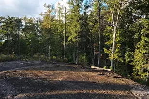 Tr 2 Old Northcutt Rd, Ellijay, GA 30540 - Photo 13