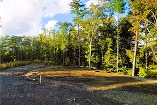 Tr 2 Old Northcutt Rd, Ellijay, GA 30540 - Photo 5