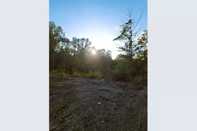 Tr 2 Old Northcutt Road, Ellijay, GA 30540 - Photo 19