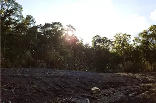 Tr 2 Old Northcutt Rd, Ellijay, GA 30540 - Photo 15