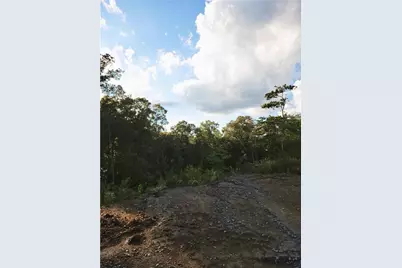 Tr 2 Old Northcutt Road, Ellijay, GA 30540 - Photo 11