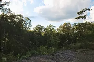 Tr 2 Old Northcutt Rd, Ellijay, GA 30540 - Photo 11