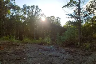 Tr 4 Old Northcutt Rd, Ellijay, GA 30540 - Photo 15