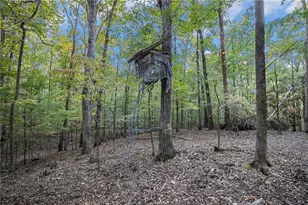 2170 Taylorsville Rd, Taylorsville, GA 30178 - Photo 47