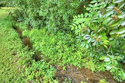 1146 Galloway Road, Blue Ridge, GA 30513 - Photo 27