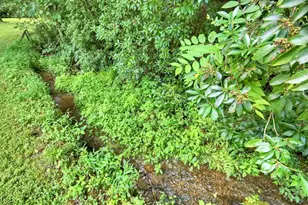 1146 Galloway Rd, Blue Ridge, GA 30513 - Photo 27