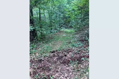 0 Ga Hwy 52, Ellijay, GA 30540 - Photo 3