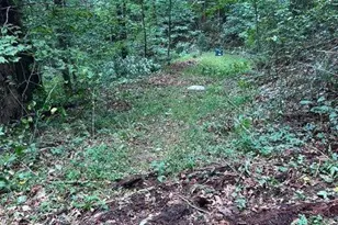 0 Ga Hwy 52, Ellijay, GA 30540 - Photo 3