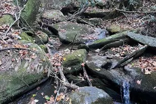 0 Ga Hwy 52, Ellijay, GA 30540 - Photo 7