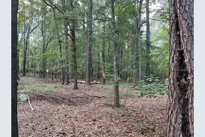 4085 Hogans Mill Lane, Loganville, GA 30052 - Photo 5