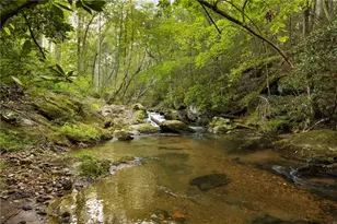 4864 Black Mountain Rd, Dahlonega, GA 30533 - Photo 59