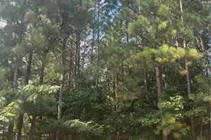 3545 Brookview Dr, Loganville, GA 30052 - Photo 1