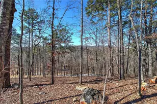 676 Flowery Branch Rd, Kingston, GA 30145 - Photo 59