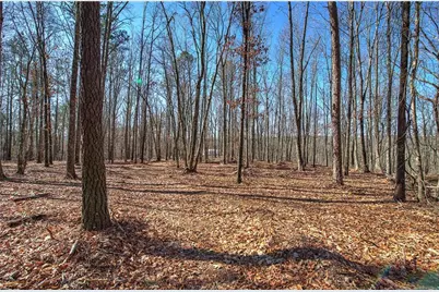 676 Flowery Branch Road, Kingston, GA 30145 - Photo 53