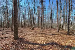 676 Flowery Branch Rd, Kingston, GA 30145 - Photo 53