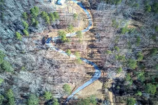 676 Flowery Branch Rd, Kingston, GA 30145 - Photo 79