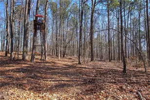 676 Flowery Branch Rd, Kingston, GA 30145 - Photo 53