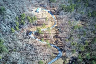 676 Flowery Branch Rd, Kingston, GA 30145 - Photo 81