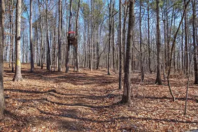 676 Flowery Branch Road, Kingston, GA 30145 - Photo 51