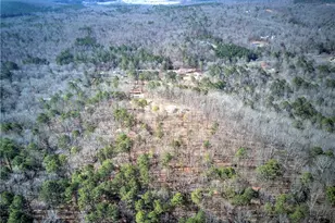 676 Flowery Branch Rd, Kingston, GA 30145 - Photo 83