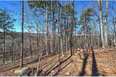 676 Flowery Branch Road, Kingston, GA 30145 - Photo 59