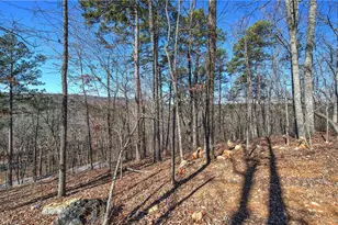 676 Flowery Branch Rd, Kingston, GA 30145 - Photo 59