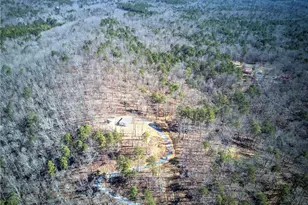 676 Flowery Branch Rd, Kingston, GA 30145 - Photo 79