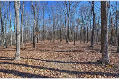 676 Flowery Branch Road, Kingston, GA 30145 - Photo 61