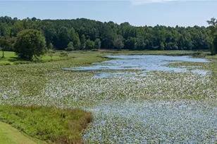 815 N Hampton Way, Monroe, GA 30656 - Photo 67