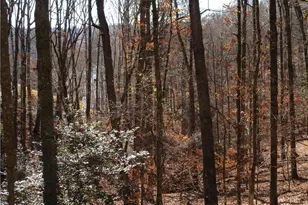 2429 Thompson Mill Rd, Gainesville, GA 30506 - Photo 51