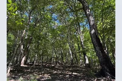 0 Moss Patch Trail, Jasper, GA 30143 - Photo 1