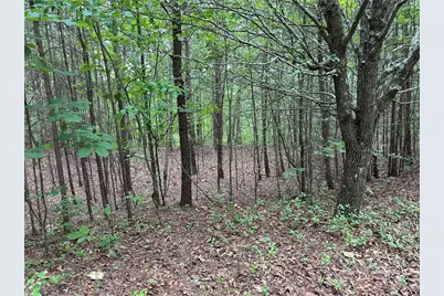 585 Galaxy Way, Ranger, GA 30734 - Photo 3