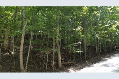 0 Bearden Road, Dahlonega, GA 30533 - Photo 3