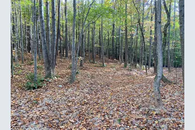 451 Lone Bear Path, Dallas, GA 30132 - Photo 1