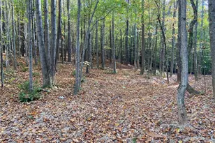 451 Lone Bear Path, Dallas, GA 30132 - Photo 1