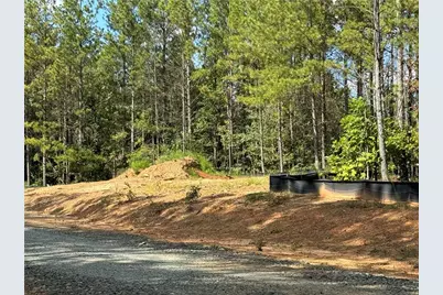 451 Lone Bear Path, Dallas, GA 30132 - Photo 3