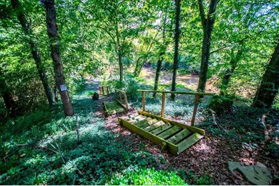 746 Dot Road, Bowdon, GA 30108 - Photo 45