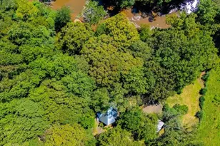 746 Dot Rd, Bowdon, GA 30108 - Photo 69