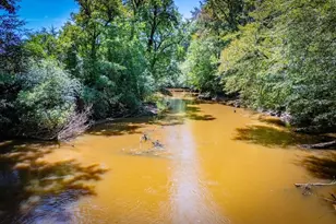 746 Dot Rd, Bowdon, GA 30108 - Photo 65