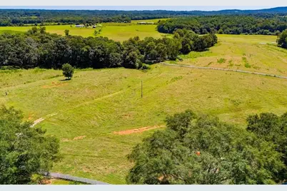 746 Dot Road, Bowdon, GA 30108 - Photo 75