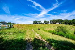 746 Dot Rd, Bowdon, GA 30108 - Photo 53